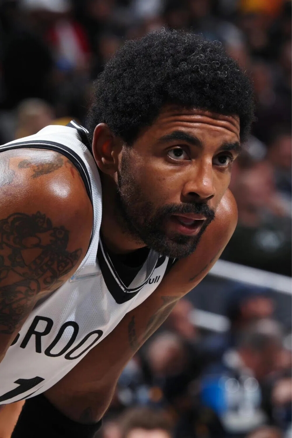 队员们依然 队员们依然